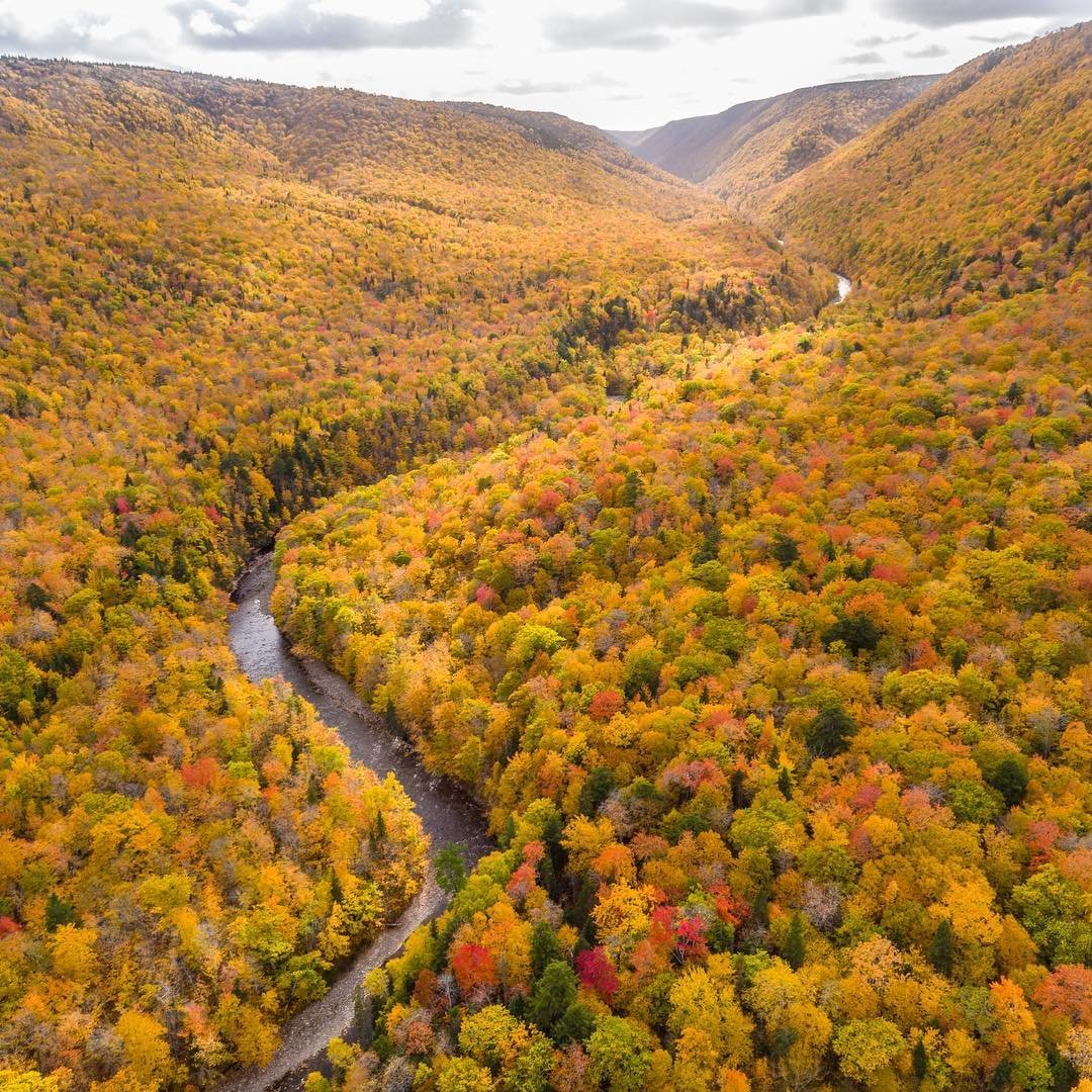 A stunning sea of fall leaves in Cape Breton Highlands National Park! 📷 mjb_photo via Instagram 📍 <a href="/VisitNovaScotia/">Visit Nova Scotia</a> #ExploreCanada