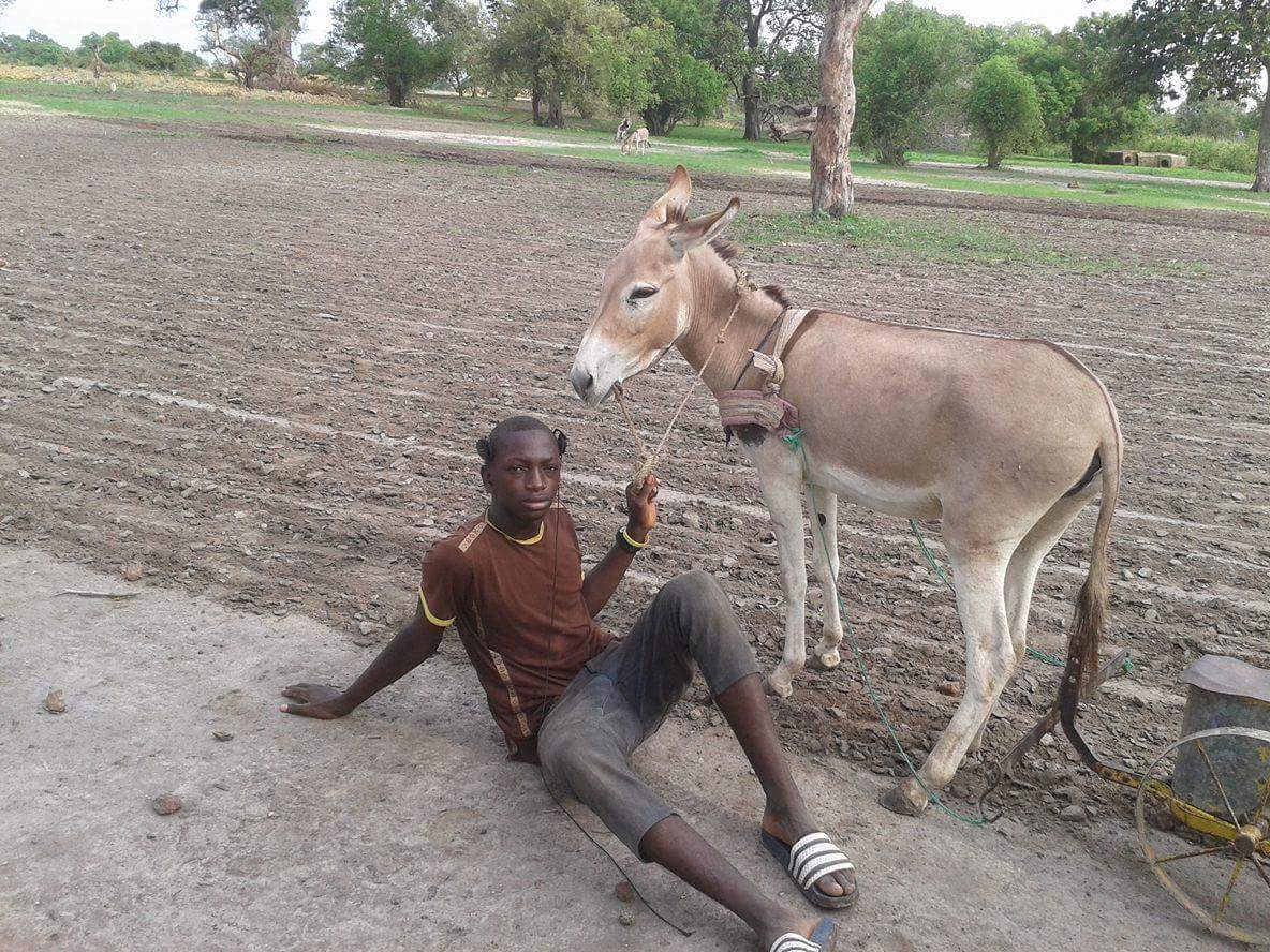 Work hard for survival