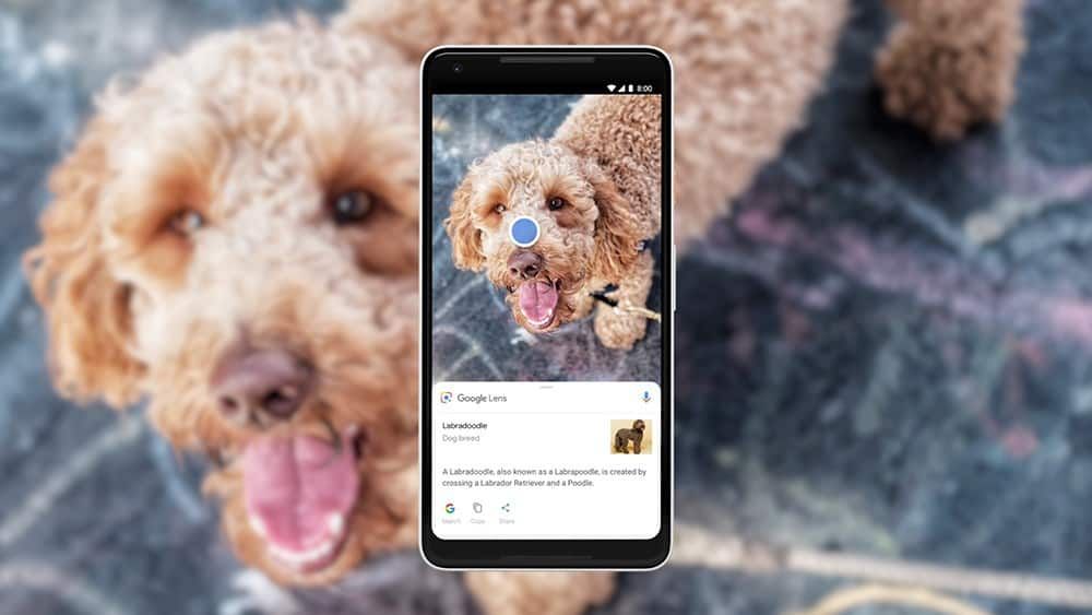 BenedicteFonck's tweet image. Google Lens intégré dans Google Images buff.ly/2z5Cp8N. Trouver un objet ou une destination à partir d&apos;une image... une vraie opportunité pour les sites marchands... entre autres ! #reconnaissanceImage #GoogleLens #googleimages #ImageRecognition