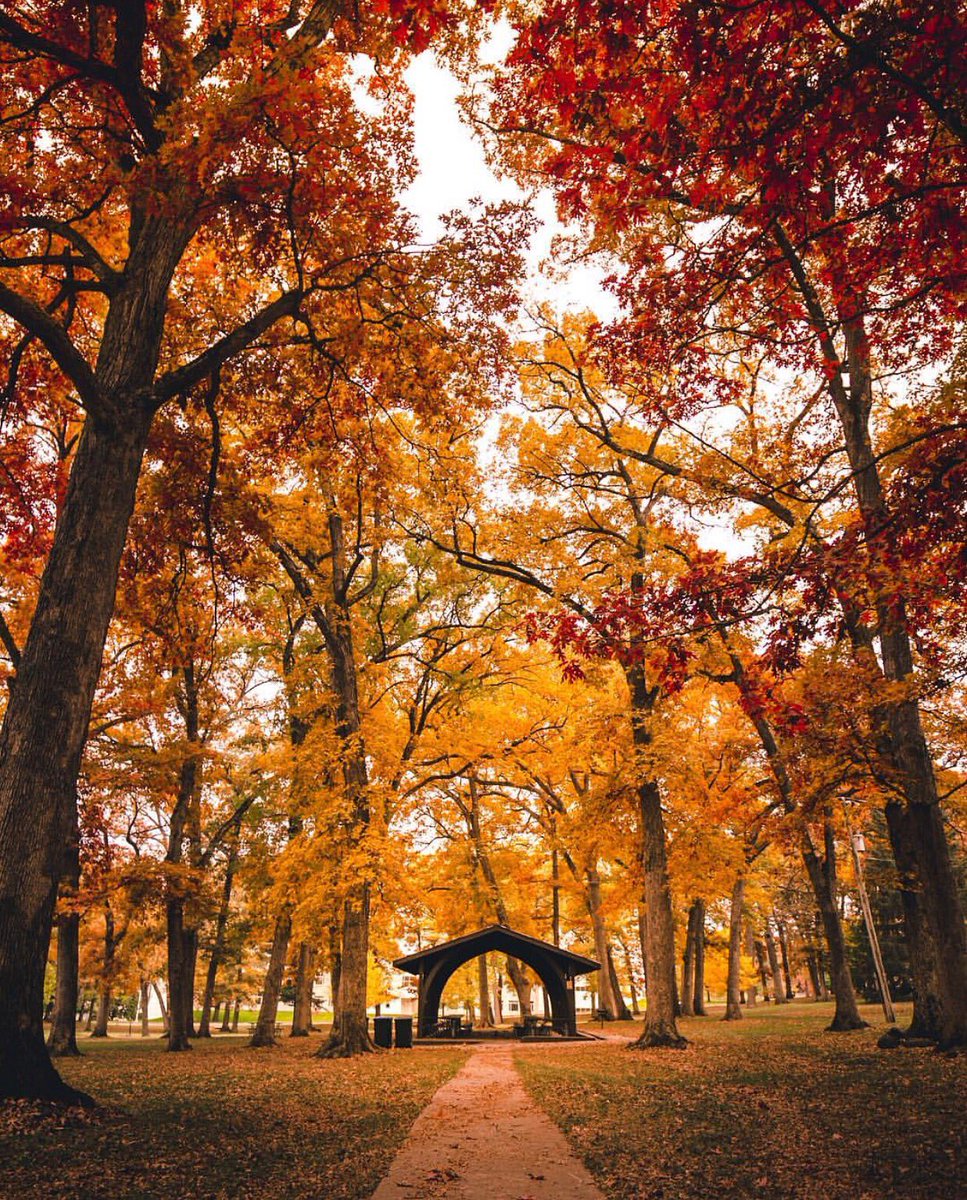 capture_iowa's tweet photo. Fall, you’re our favorite 😍🍁🍂

📸: Andrew Broderick https://t.co/2NMw4UlNym