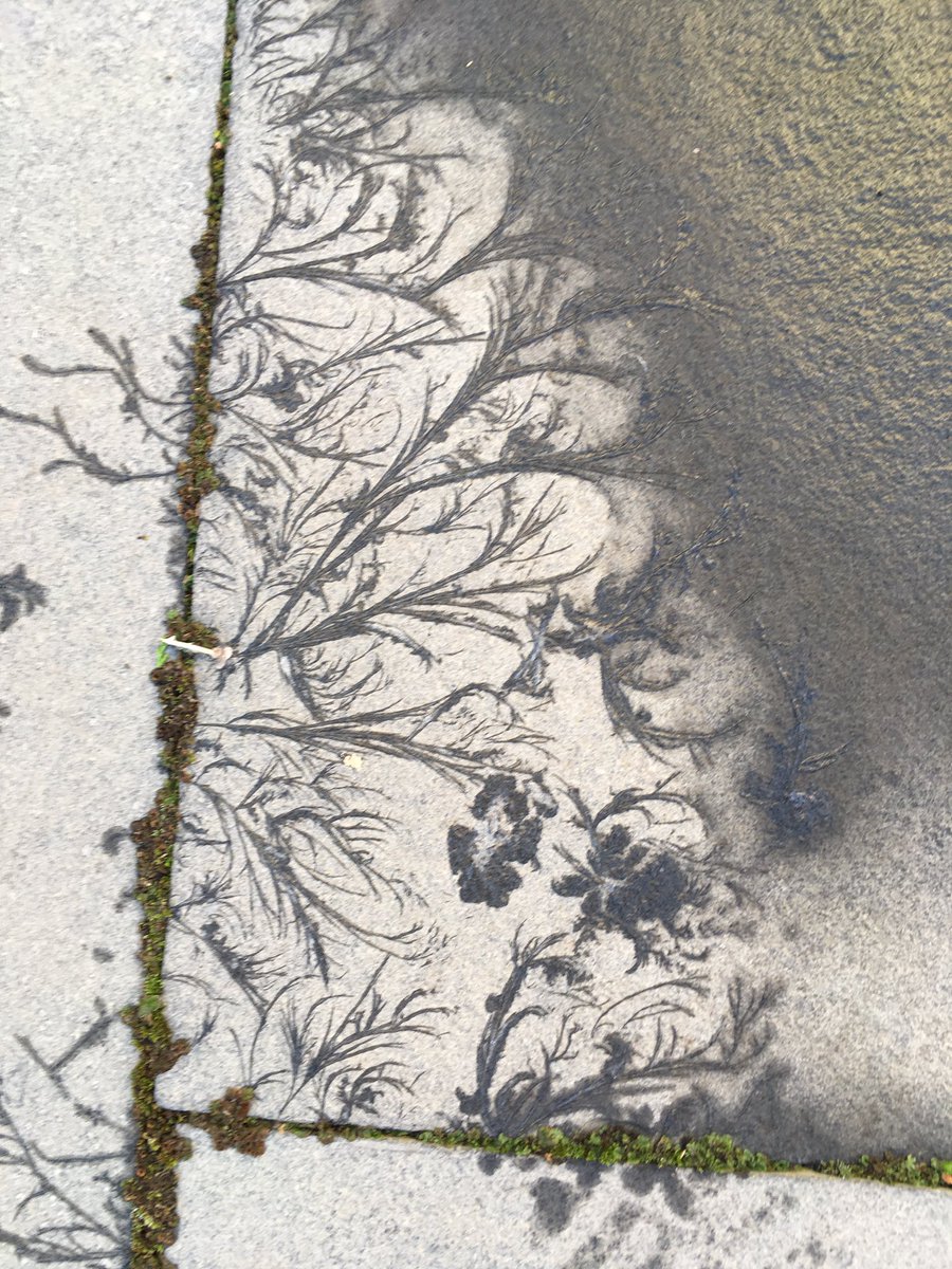 Hirculus's tweet image. Frost patterns on paving.