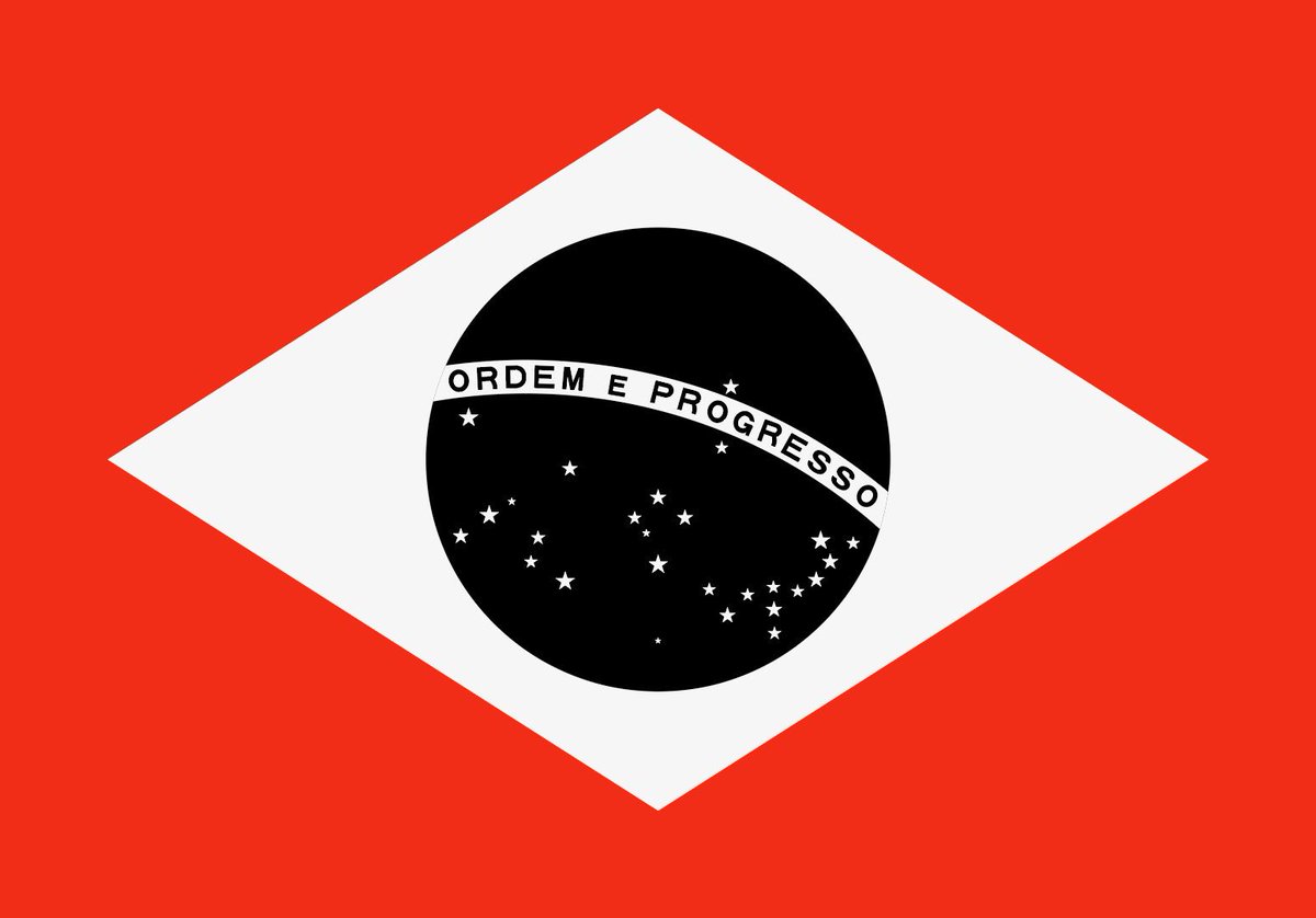 #brazilsnewflag ? #fightfascism #bolsonaro #brazil #brazilelection