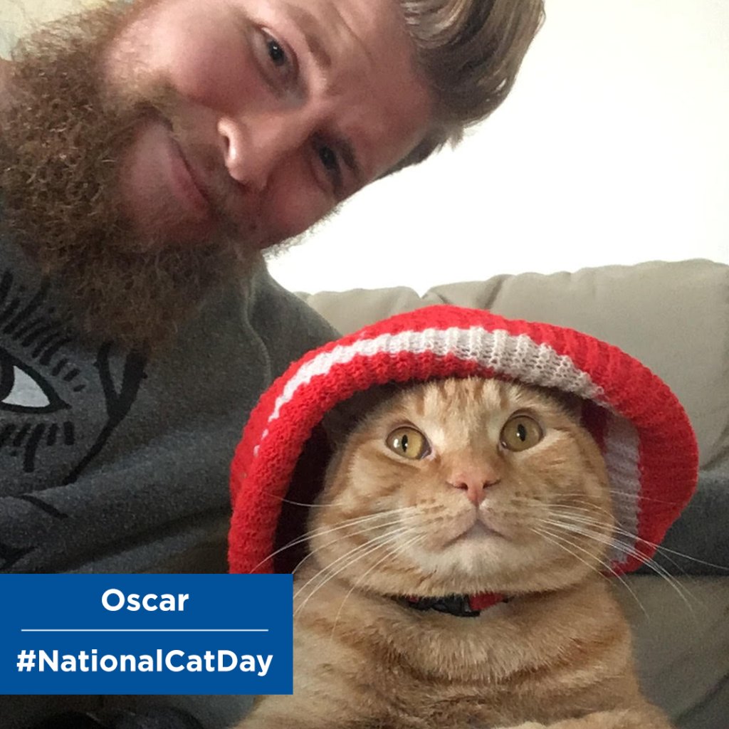 PurinaCatChow's tweet photo. #NationalCatDay is here, and we want to meet your kitty! Snap a selfie with your and @ reply it to us to share. 😺 https://t.co/r9yQFrWHOB