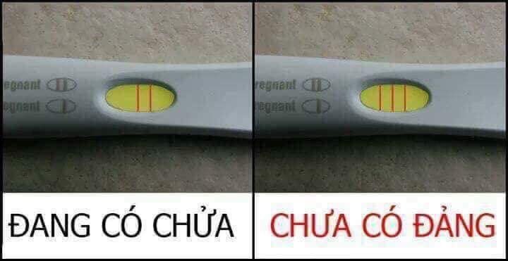 lytraco's tweet photo. Nguồn: facebook/miscs ^^ #vietnam #me #troll https://t.co/6pg7OrL6Ez
