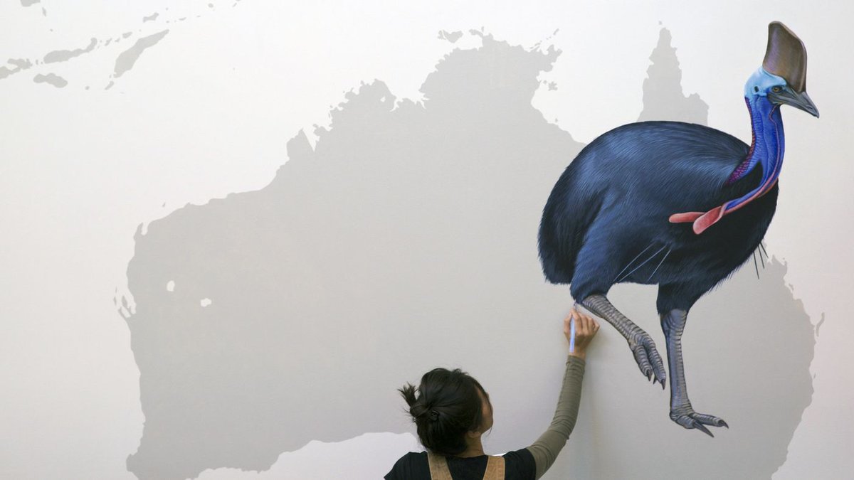 CornellBirds's tweet photo. Did you catch Jane Kim talking about her Wall of Birds mural and book on @NPRWeekend yesterday? Here's her interview with Lourdes Garcia-Navarro: https://t.co/Cje1o6IFYM — with @InkDwell https://t.co/YXTIDcoFkm