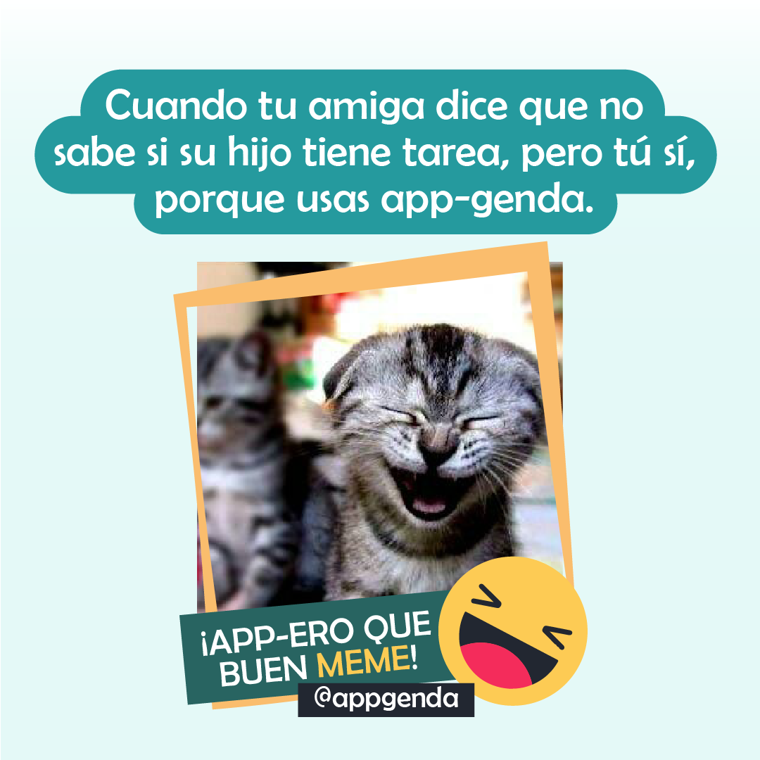 app_genda's tweet photo. La educación de tus hijos precisa tu seguimiento. Lleva un control de sus responsabilidades y sé partícipe de su evolución.  No querrás ser el gatito de atrás ¿Verdad? 
#FelizLunes #MondayMotivation #ApperoQueBuenMeme #Appgenda #Humor https://t.co/KEsroUQXFQ