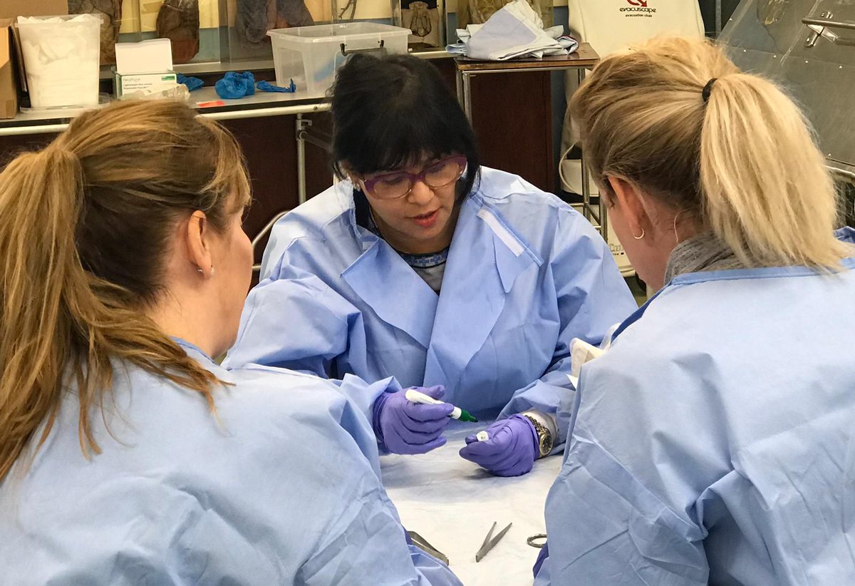 BAMANurses's tweet photo. Education isn't just a Monday to Friday thing! We had some brilliant facial anatomy training from @perfecteyesltd and @OFAAcourses this weekend - and our members absolutely loved it. The perfect way to spend a Saturday. 😄 https://t.co/sfvcJcdYLt