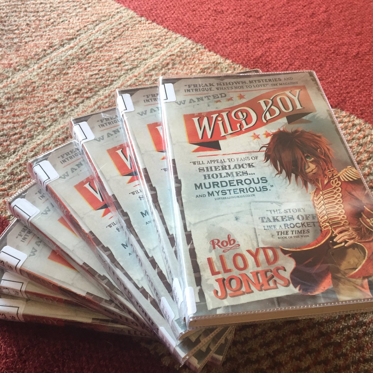 ..and a full set of @RLloydJones amazing book Wild Boy which I’m so excited to use to set up book club. #SchoolsLibraryService #primary