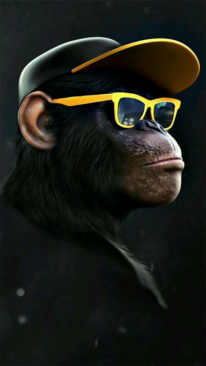 #monkeycool hashtag on Twitter