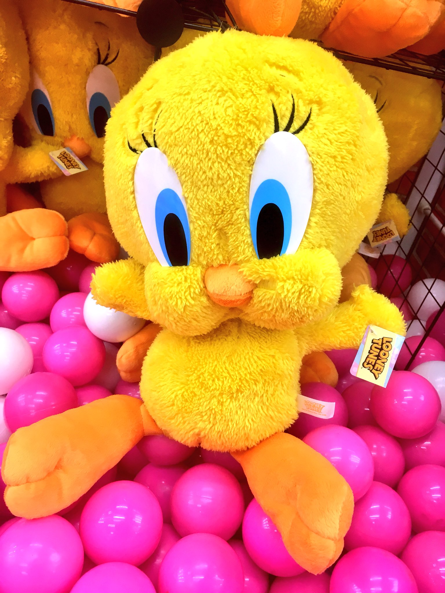 ドラマ下北沢（プライズ専門店） on X: 