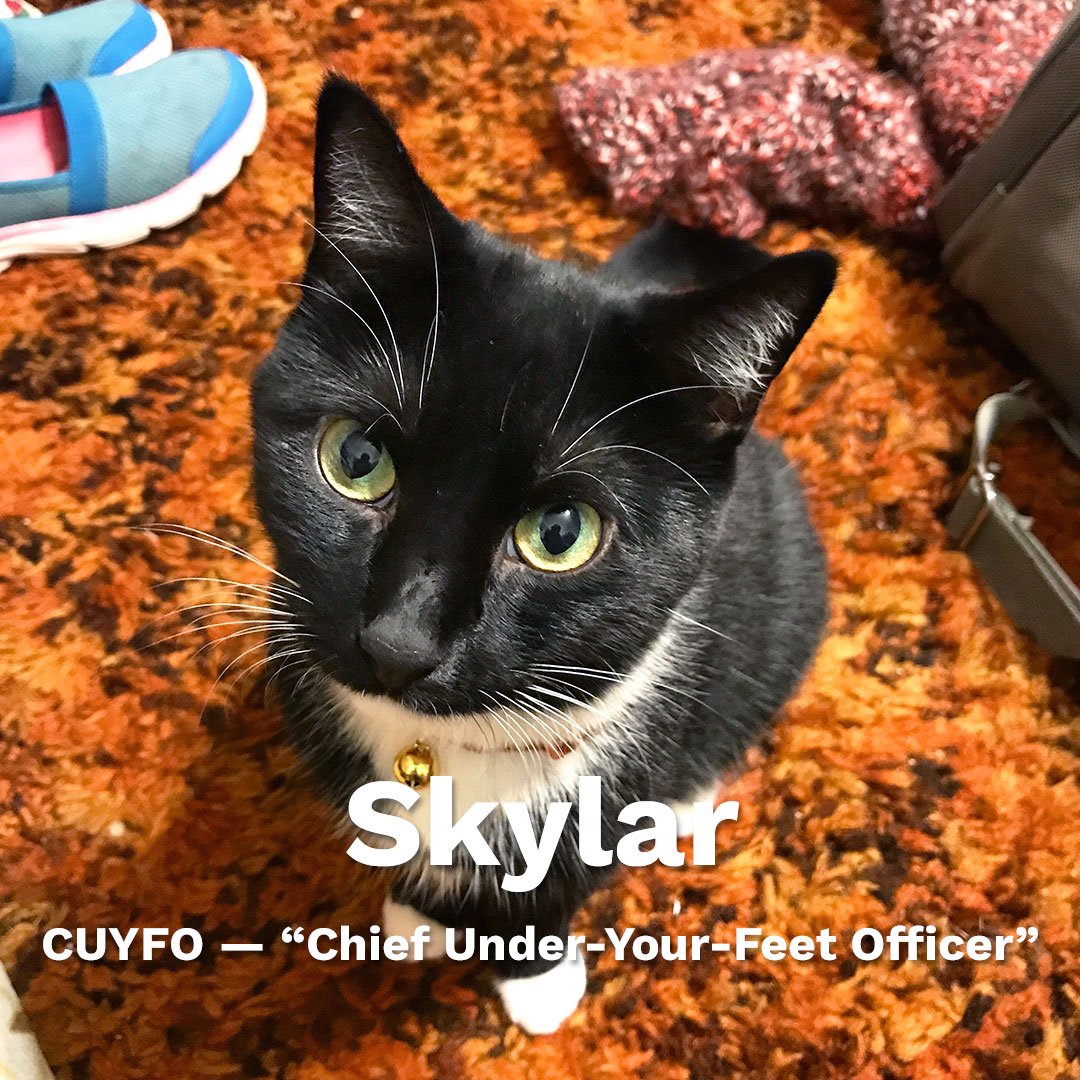 You’ve seen the pups of Makr, but have you met our feline friends? Celebrating our kitty overlords on #nationalcatday