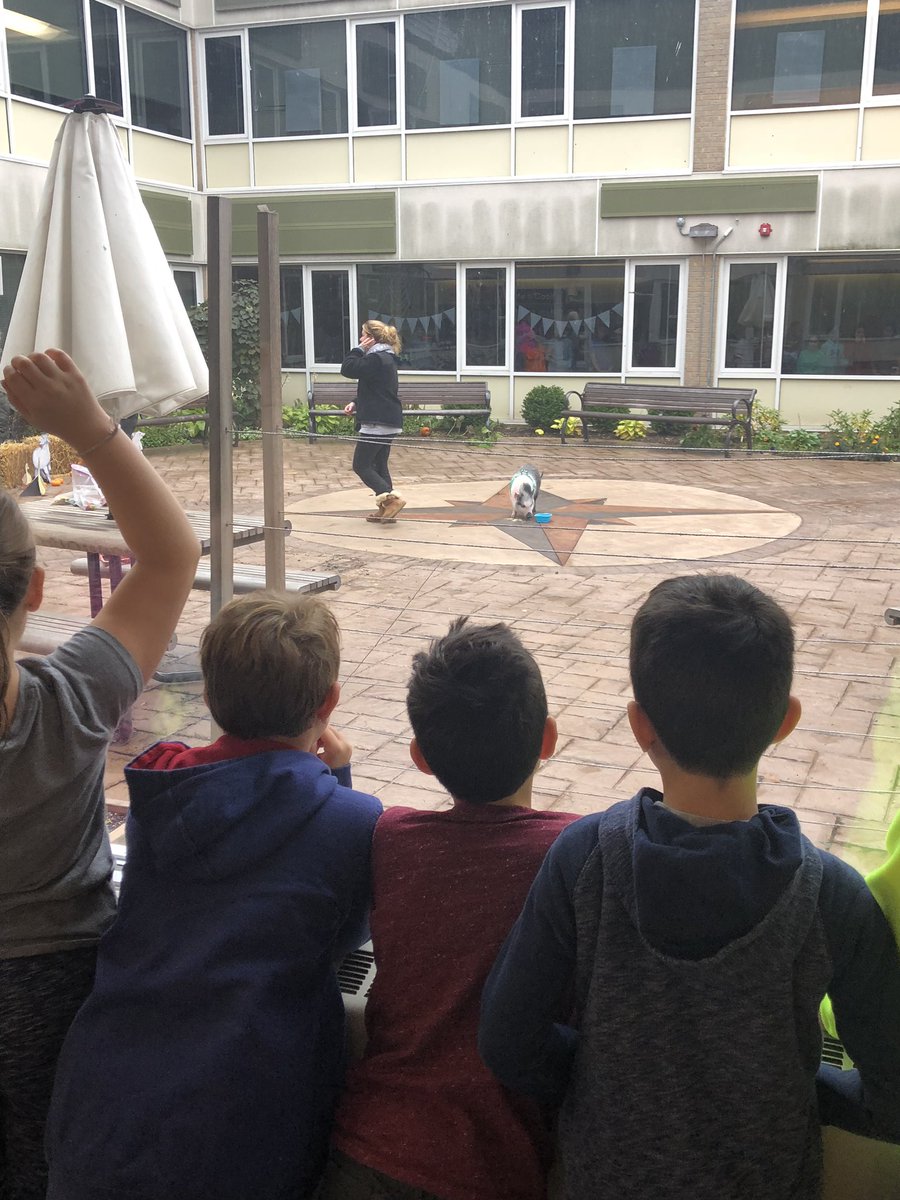 violafourth's tweet photo. The fourth graders enjoyed our visit from one of “Wilbur’s Cousins.” Meet Detective Elliot Stabler. You could feel the excitement throughout Viola. @ViolaAchieves @ckear4thgrade https://t.co/AypxhSDFW0