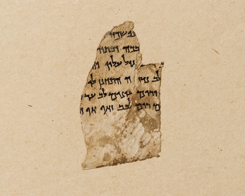 DivSightings's tweet photo. Faking the Bible | by Jeffrey Stackert (@UChiDivinity)
https://t.co/FUZXwVe92j

Prof. Stackert reflects on the news that broke last week about Dead Sea Scroll forgeries at the @MuseumofBible in DC and what it teaches us about #Evangelicals https://t.co/tC1Rvfdpsp
