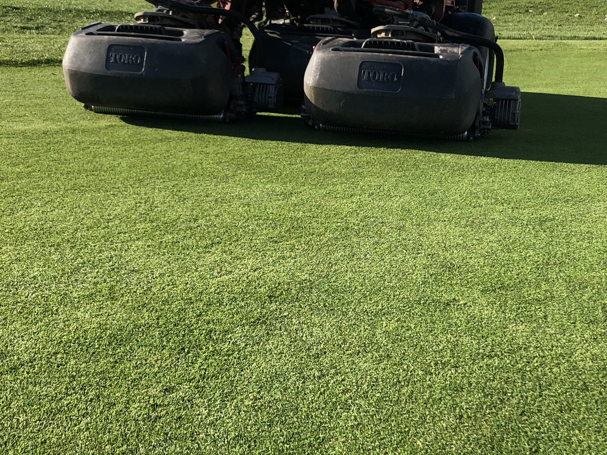 HartCommonGC's tweet photo. Greens getting a quick trim this afternoon now temperature has risen slightly https://t.co/xNUV6s1UAr