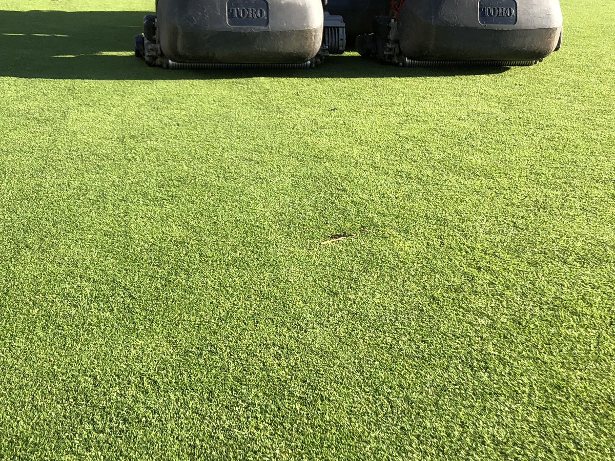 HartCommonGC's tweet photo. Greens getting a quick trim this afternoon now temperature has risen slightly https://t.co/xNUV6s1UAr