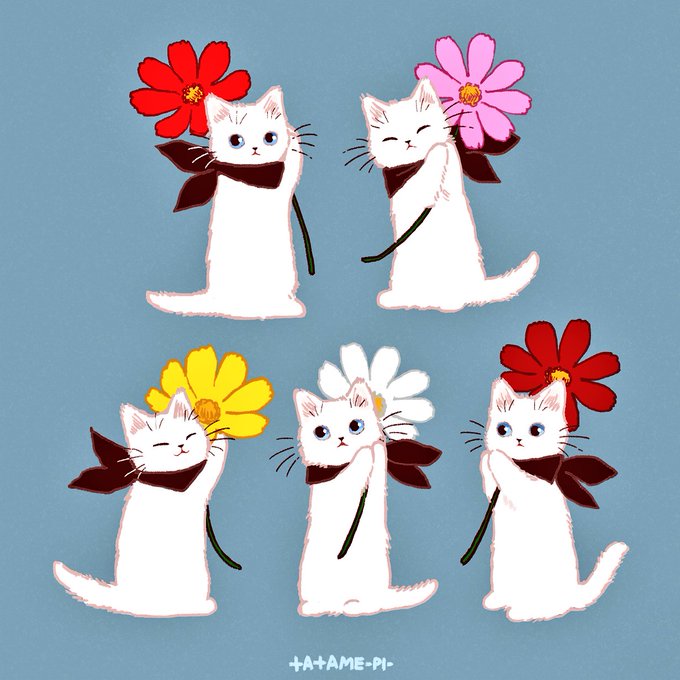「花 白い猫」のTwitter画像/イラスト(古い順)