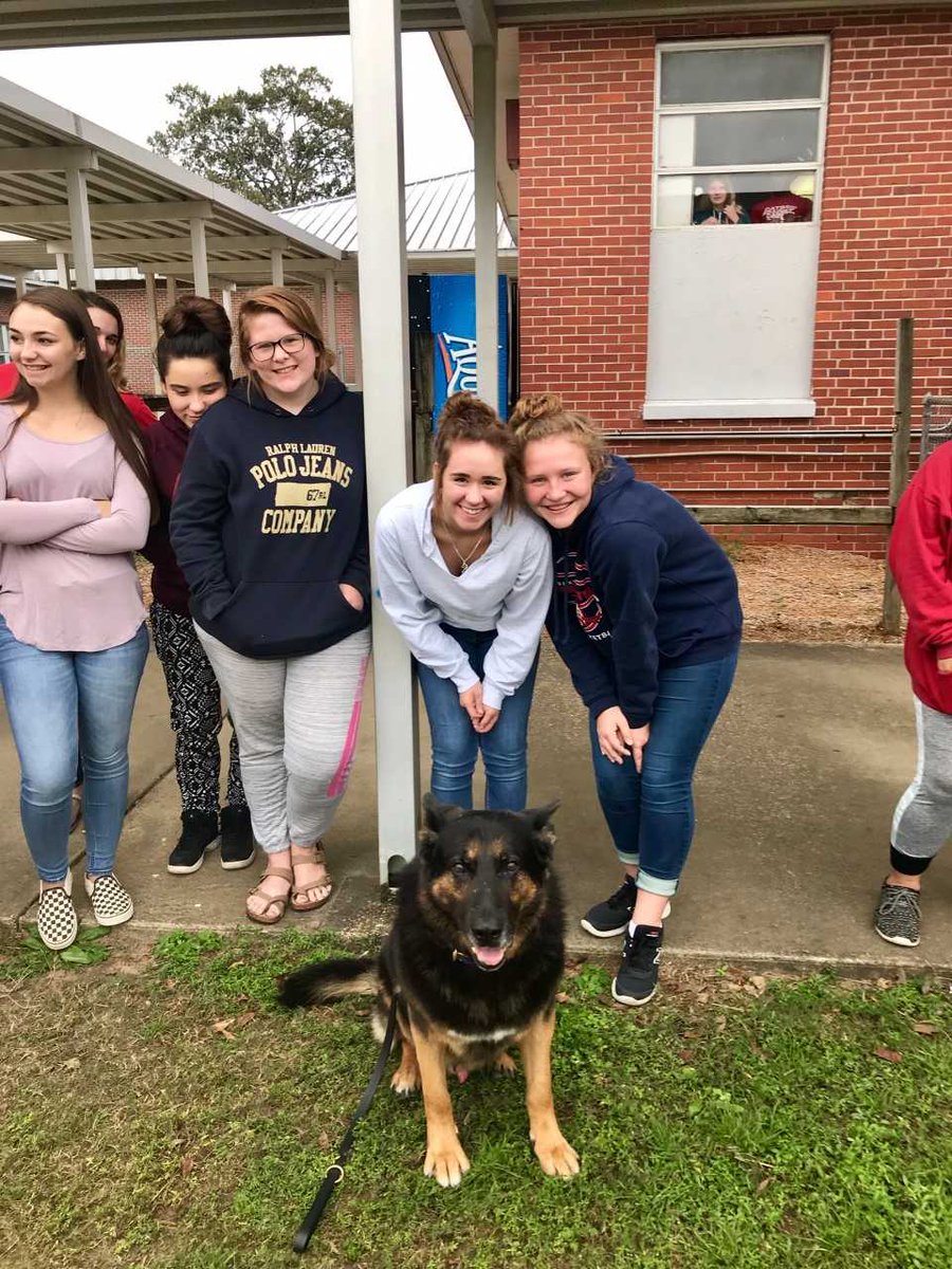 WCSOFL's tweet image. The #WCSOK9 Unit had a blast at Paxton High School visiting psychology students teaching how Sheriff’s #K9 dogs are trained, which coincides with their lesson on classical &amp;amp; operant conditioning. 

@WaltonCountySD #WorkingK9 #LESM