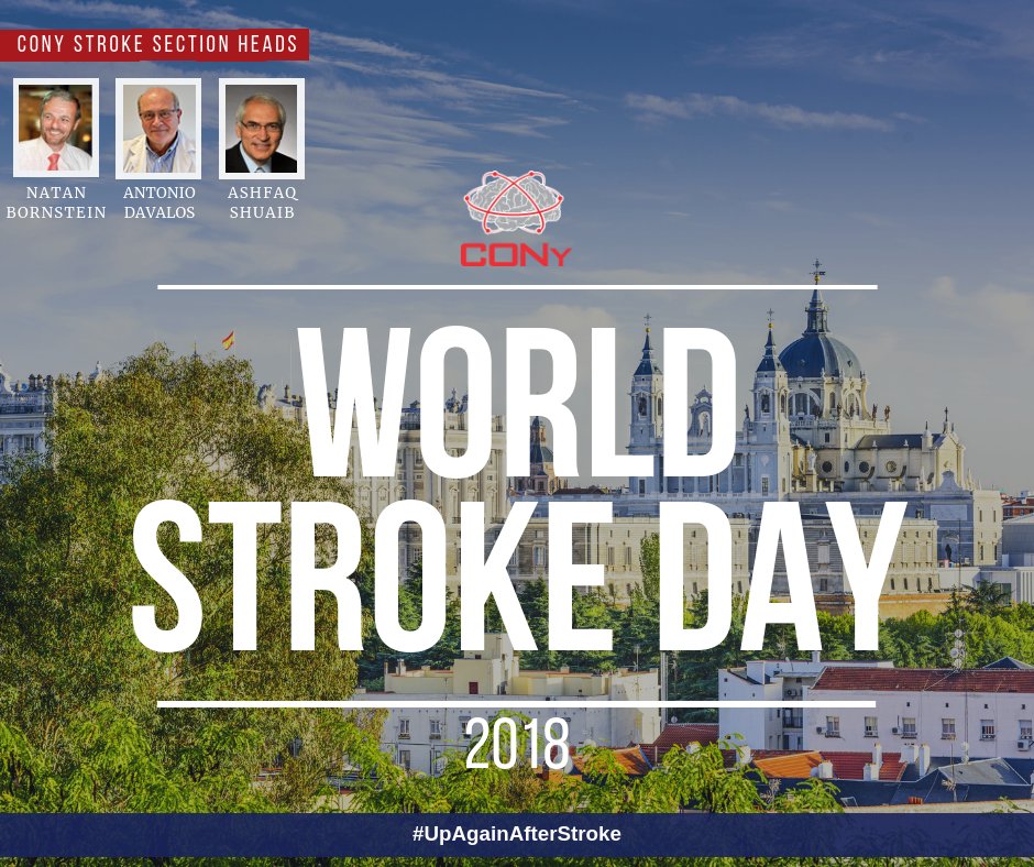 CONy Neurology tweet media