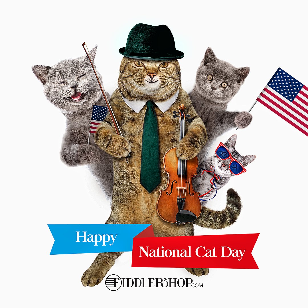 It's #NationalCatDay! Let us introduce this cat quartet from Fiddlershop!