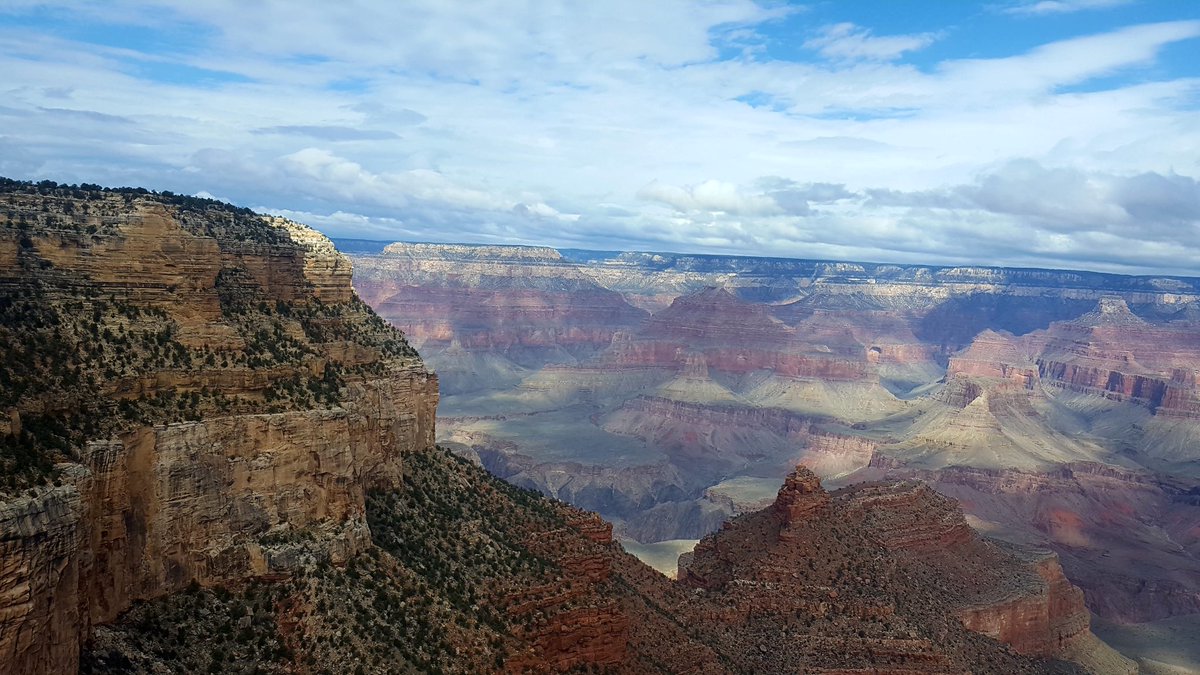 CDTApp's tweet image. Test