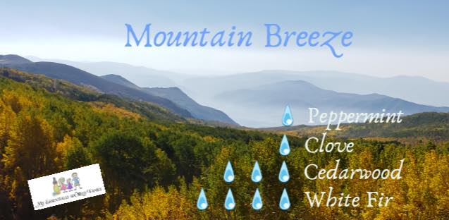 TanyaPuls's tweet photo. Happy #Monday! ✨Here is another favorite #diffuser recipe in our house - Mountain Breeze. ⛰ It smells so good! 🤩

*1 drop of Peppermint
*1 drop of Clove
*3 drops of Cedarwood
*4 drops of White Fir 🌲

(Photo taken when we were in #Utah!!)

 #doterra #diffuserrecipe @BBlogRT https://t.co/gm1yXbB6Lj