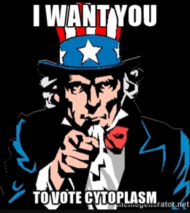cytosomes's tweet photo. Take it from Uncle Sam! #cytosomes2k18 #millercellwars2018 https://t.co/Uc1rRAbgkr