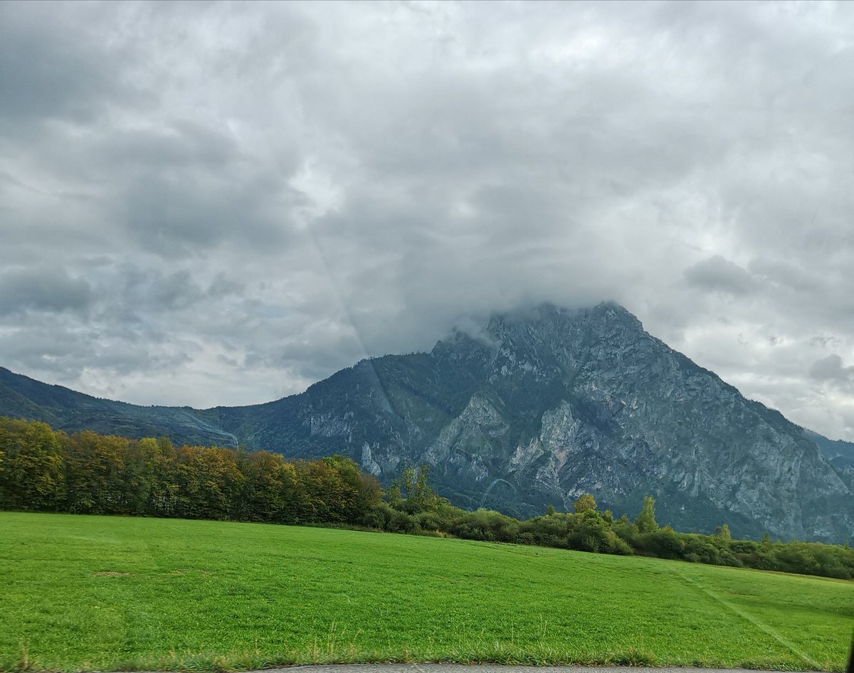 fireflieschilli's tweet image. 