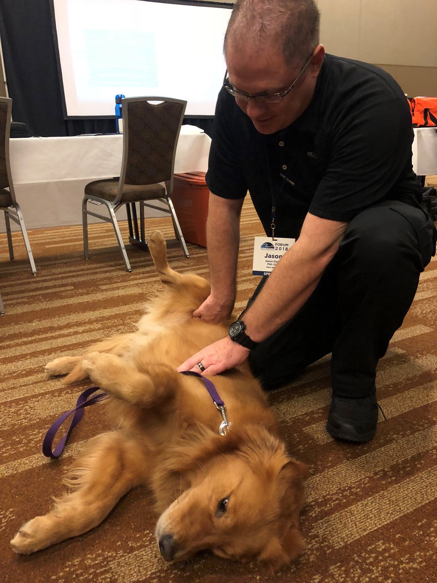 ORISEconnect's tweet photo. While REAC/TS #HealthPhysicist Jason Davis was at the Hale Borealis Forum 2018 last week he got some puppy playtime during a training with the Canine Tactical Emergency Casualty Care. His patient, Miss Alex, was extremely compliant (and lovable). 🐶 #STEMpact https://t.co/Lx2CaySYVt