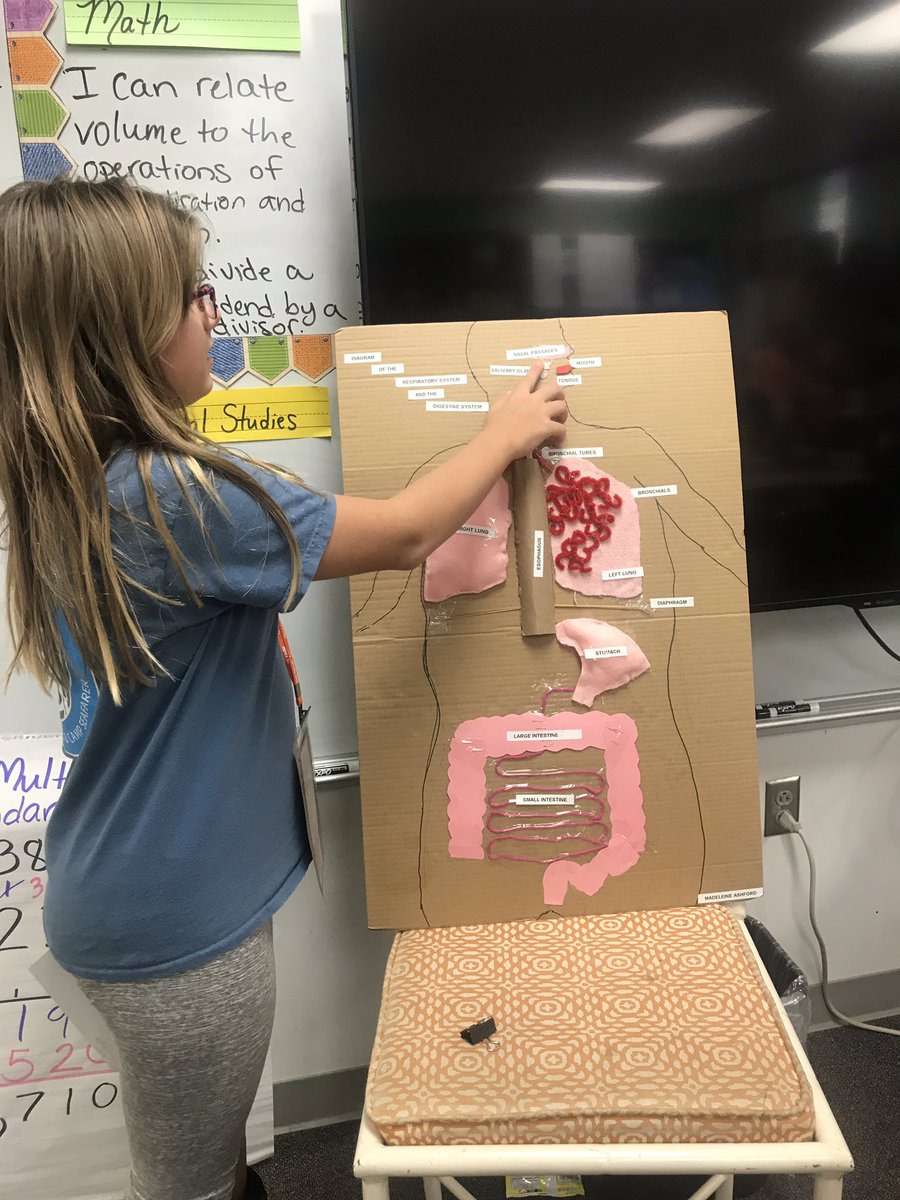 class_ramos's tweet photo. Sharing our knowledge and using critical thinking to compare body systems and represent systems in a creative way! #fwesinspireslearning https://t.co/85fkuGNPiE