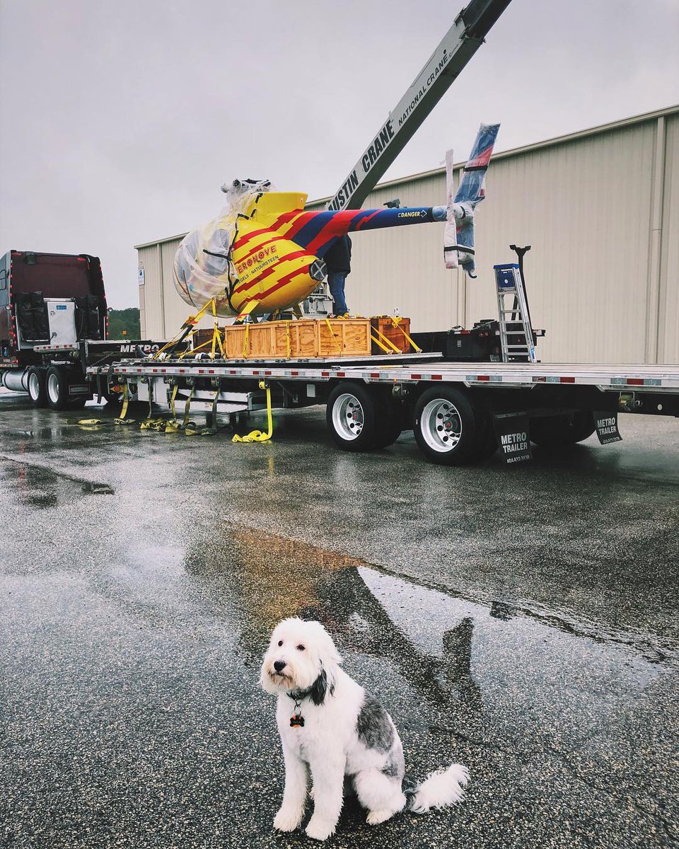 trinityhelimd's tweet photo. Nina doubled as our greeter and supervisor last week to ensure the unloading process went smooth. She’s a trooper to withstand the rain with no rain jacket! @MDHelicopters #ruffwork #MDHI #MDHelicopters https://t.co/AJhkLffmVH