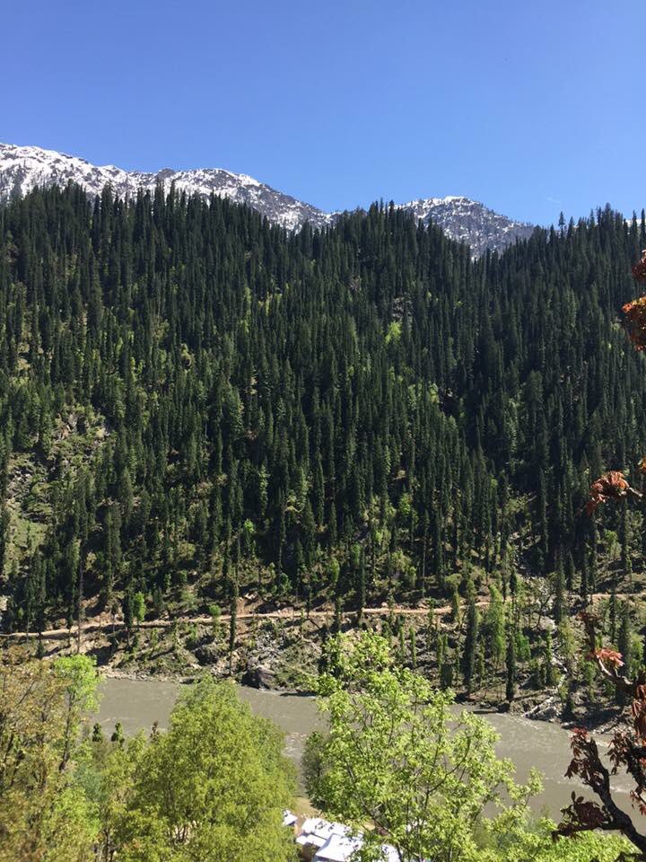 batoolbeebee's tweet image. Neelum Valley AJK 💚💚