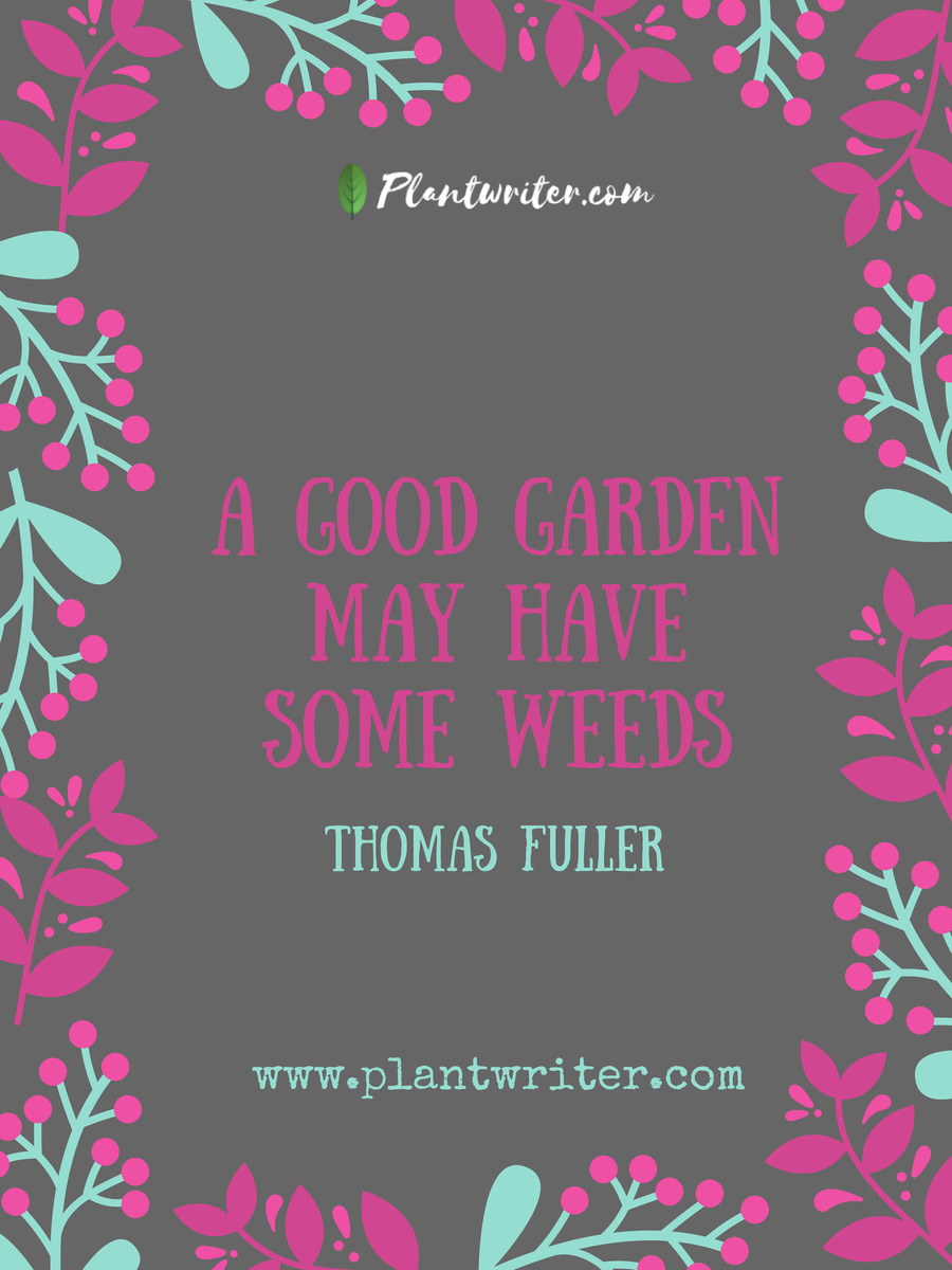 _plantwriter's tweet photo. #plant #quote #plantwriter https://t.co/pakdwiNEVq