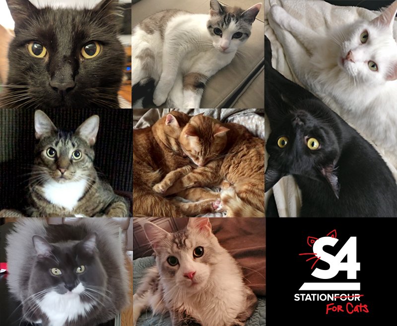 stationfour tweet picture