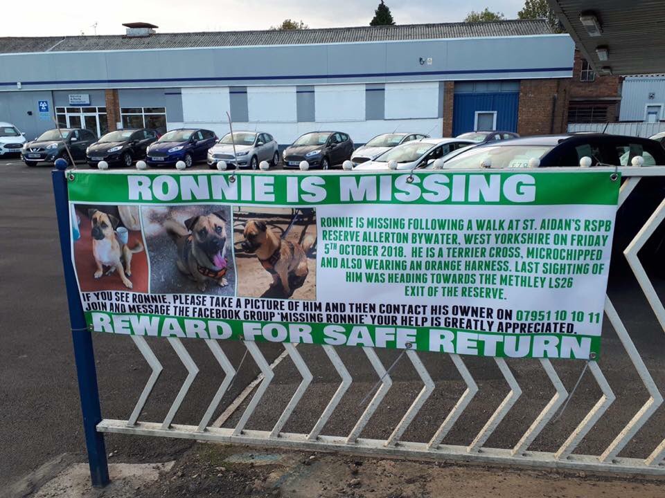 rosiedoc666's tweet image. #findRonnie #JRT #MISSING since Friday 5/10/18 he was on a walk at #StAidens #RSPB RESERVE #AllertonBywater #WestYorkshire LAST SIGHTING WAS WHEN HE WAS SEEN RUNNING TOWARDS #Methley #LS26 

m.facebook.com/groups/3285264…
