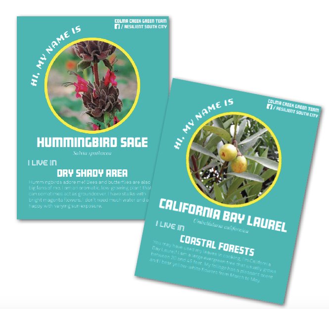 Toolkit Feature: Native Plant Playing Cards 
.
@hassellplus worked with @sanbrunomountainwatch to create playing cards with information about native plants to raise awareness in a fun, informative way. Visit Resilientbayarea.org/toolkit to learn more

#resilientbay
