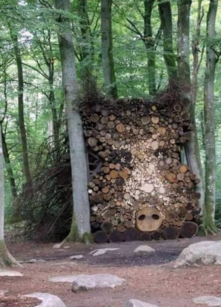 Nini_MacBright's tweet photo. Dans cette situation :
A/ Je tire
B/ Il n'est pas à vélo, donc je tire
C/ C'est un tas de bois, arrêtez de nous stigmatiser! Mais je tire quand même https://t.co/bAAxcY8mLC