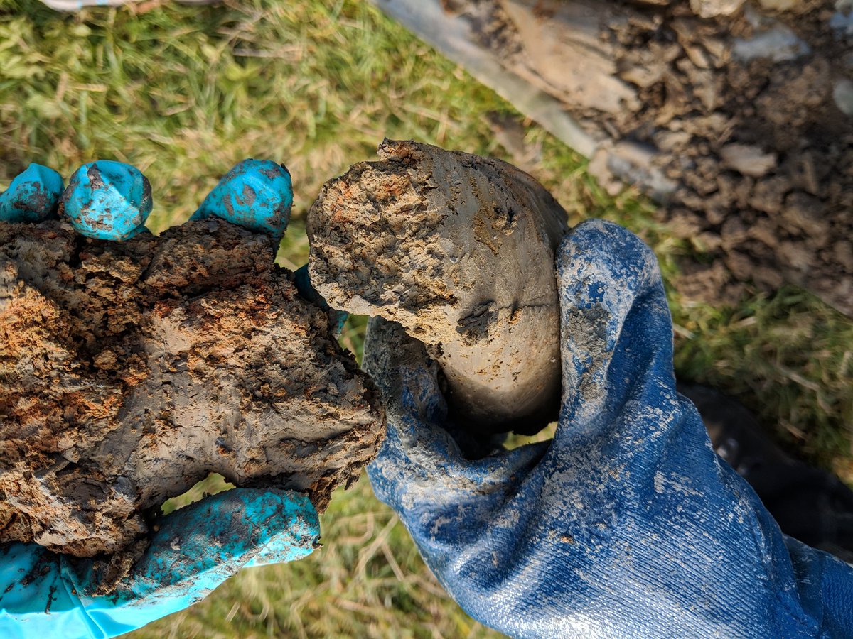 yeast.computer tweet media