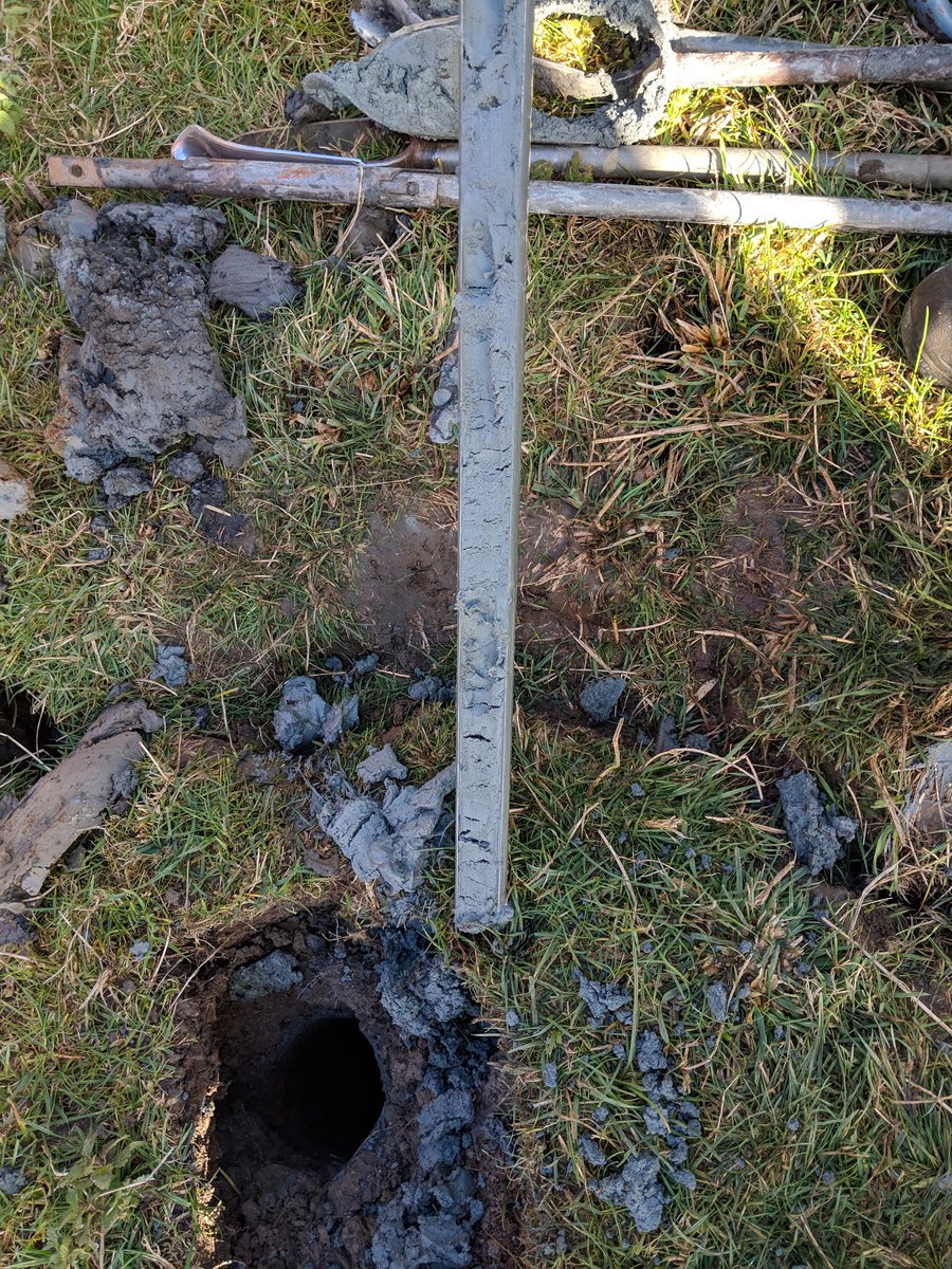 yeast.computer tweet media