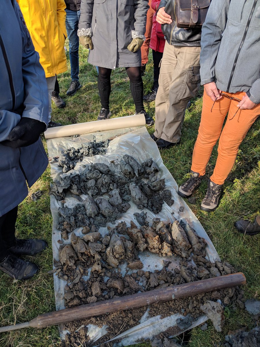 yeast.computer tweet media