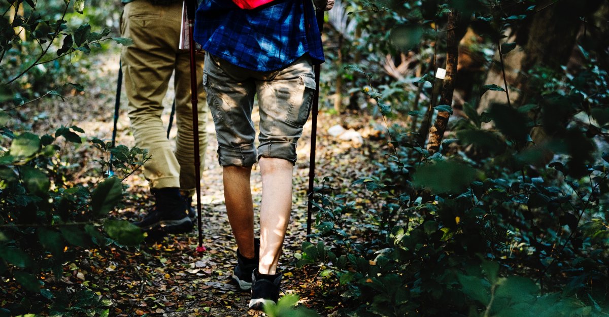 Arthritis_ARC's tweet photo. Do you have #arthritis? Do you want to get moving again? From canes to orthotics, @gaitmodphd talks assistive devices in this helpful video: https://t.co/YbAzeh6dEC #eROAR https://t.co/iKmaJ2UO4T
