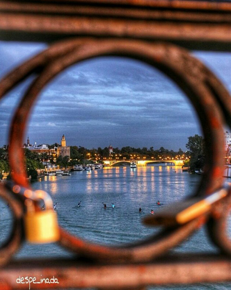 SalPorSevilla's tweet photo. Con esta #fotografía de @despe_inada, #Sevilla te da las #BuenasNoches desde el Puente de San Telmo 🌙 https://t.co/MKfDj27unA