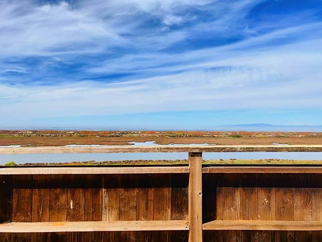 Slicehawk's tweet image. #lunchview #lablyfe #mlml ift.tt/2JoFaXl