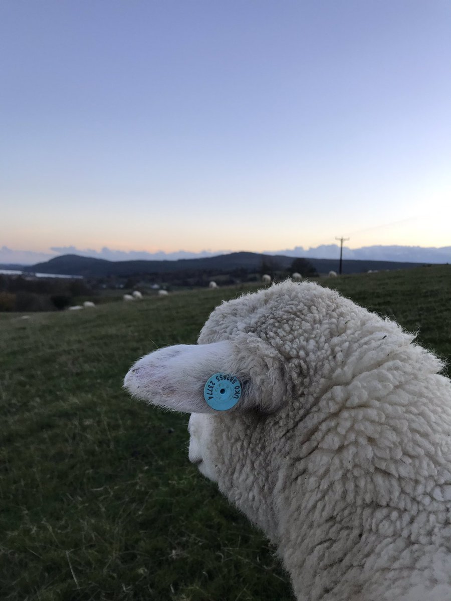 Autumn has been kind to us so far