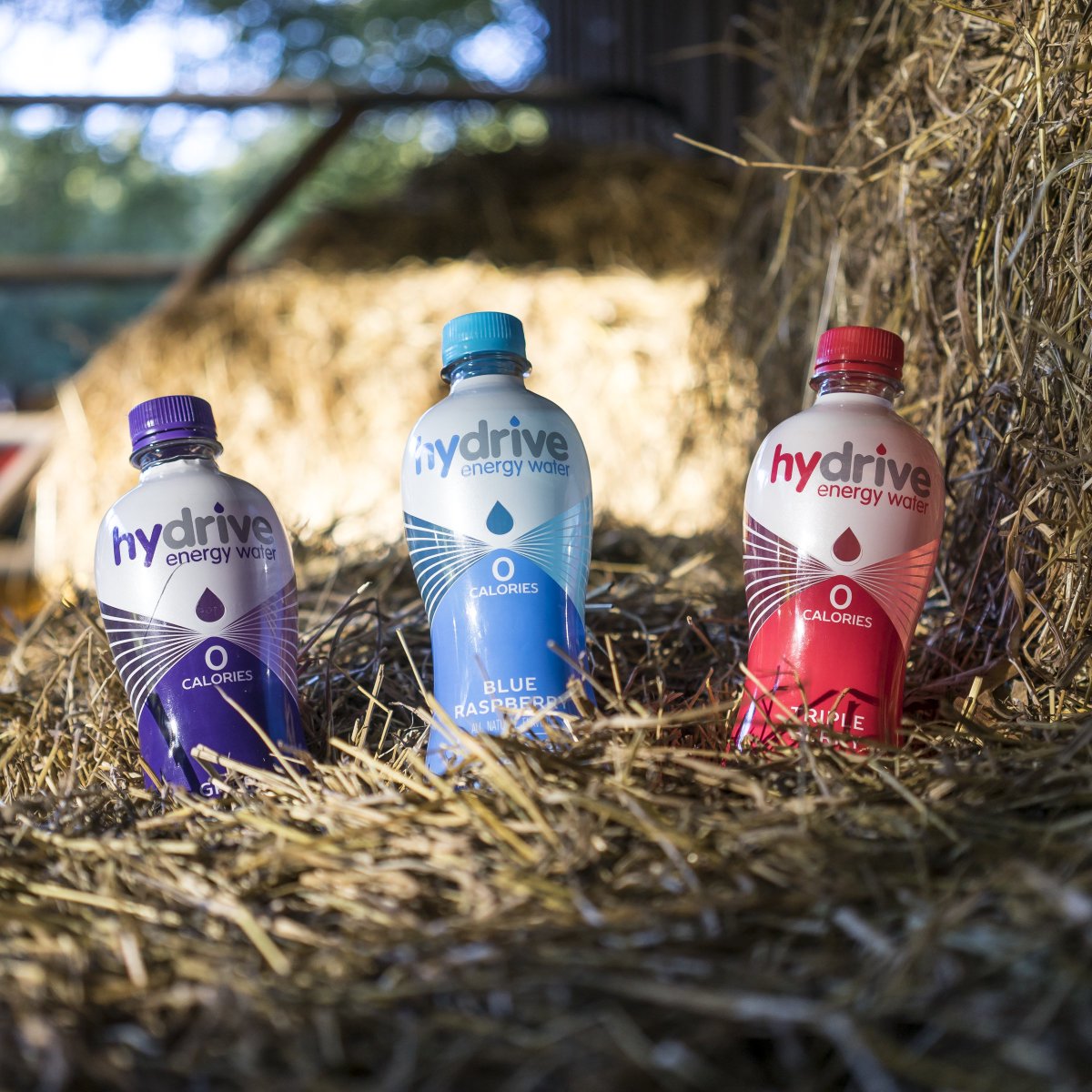 HYDRIVE's tweet photo. Oh hay there!  🍇 🍒 🍓 #HydriveEnergy https://t.co/YqwxUrXFCe