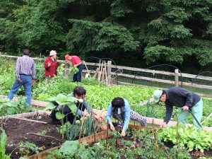SWRFAC's tweet photo. Food security leaders: Fiona Stevenson #foodleaders #foodsecurity #foodforall #fooddemocracy https://t.co/Yz7TWluNqX https://t.co/eNOppvZhUa