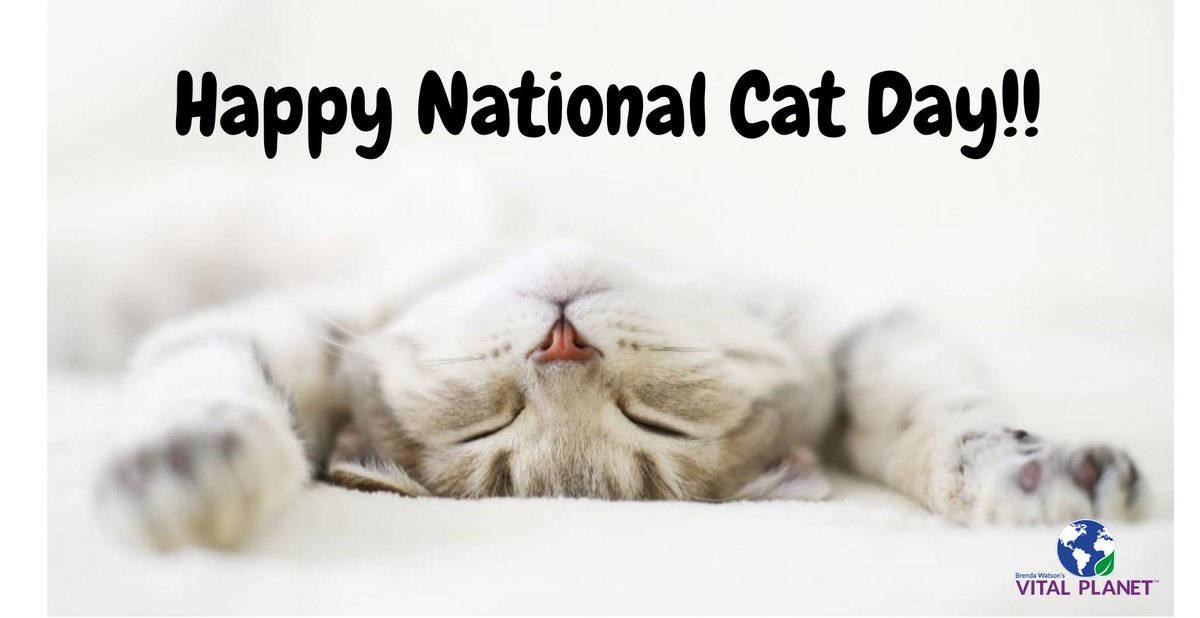 VitalPlanetPets's tweet photo. https://t.co/PsXosEGoJS