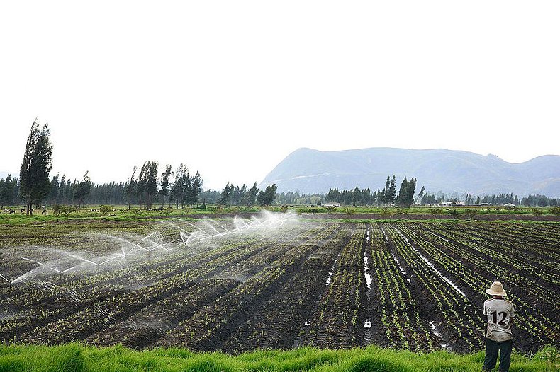 UN_DIPAL's tweet photo. #NotaUN Una App pronostica salinidad en suelos agrícolas.
➡️ Lea la nota completa en: https://t.co/BBZSYksuKd
#InvestigaciónUN #CienciaUN #InnovaciónUN #UNPalmira https://t.co/oxmzkRqvAL