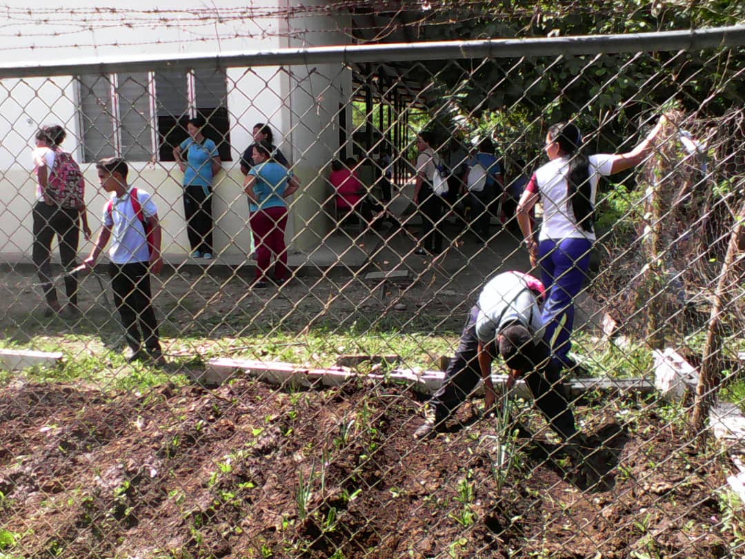 ptmsaat1's tweet photo. Activados los CRP del liceo Luisa Cáceres de Arismendi. C.E 1.6 AAT @EvelinRosendo1 @ZONAEDUBARINAS @PTMSNACIONAL https://t.co/jT4oSSTqLR
