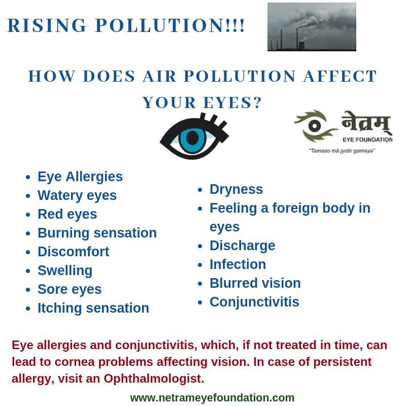 NetramEyeCentre's tweet photo. How Air Pollution affects eyes? #pollution #AirPollution #NetramEyeFoundation #eye #EyeCareForYou #DrAnchalGupta
P.S. We all need to curb pollution in whatever ways we can for our own good ! https://t.co/nijpntHaot