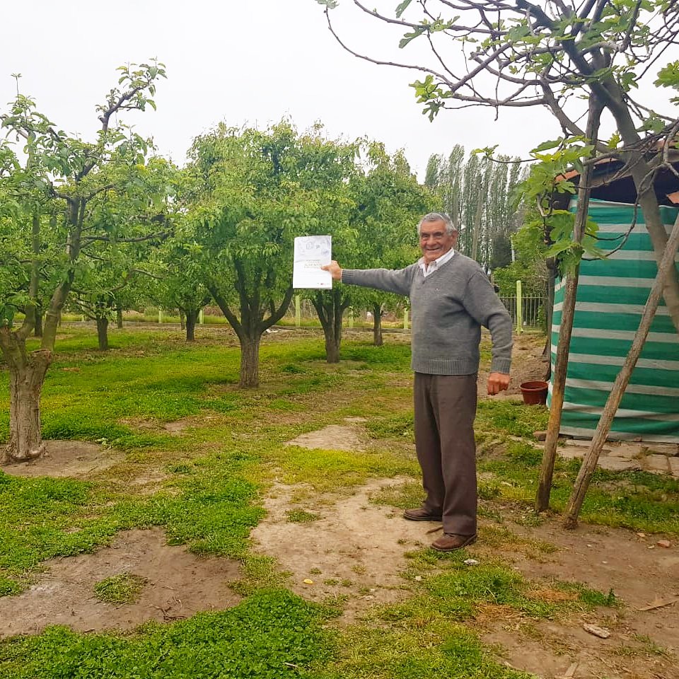 Piensa_OHiggins's tweet photo. Los profesionales de la @cdellibertador realizaron visitas a terreno en las comunas de Olivar y San Vicente de Tagua Tagua y se reunieron con productores de Manzanas y tomates para presentarles el proyecto Oportunidades de Negocios en Alimentos Funcionales. https://t.co/PIUrUzwmFB